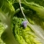 IMG_3189.jpeg