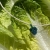 IMG_3173.jpeg