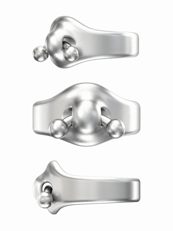 Ring_Pircing2_collage.jpg