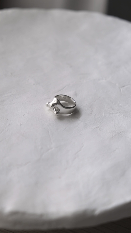 PiercingRingGorechik-03.jpg