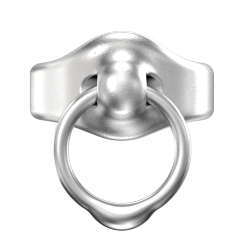 piercing ring .jpg