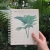 plants-plants-glasshouse2.webp