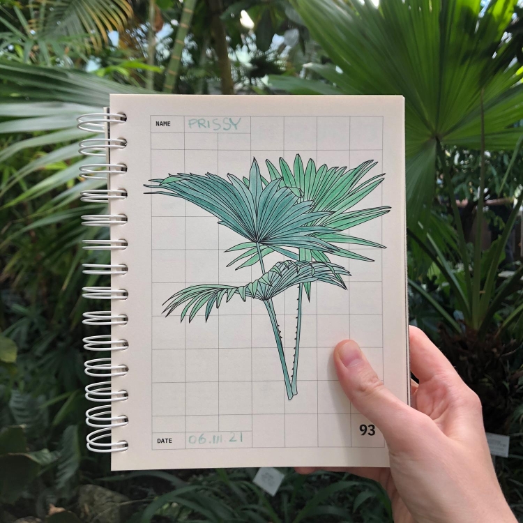 plants-plants-glasshouse2.webp
