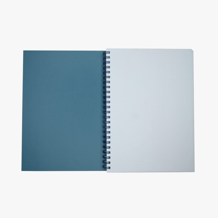 kolonotatnik-w-kropki-okladka-notes.jpg