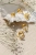 crystal-ring-03.webp