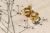 crystal-ring-04.webp