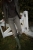 image1 (2).jpeg