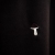 image2 (3).jpeg