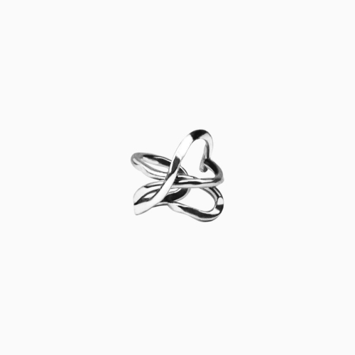 nausznica-silver.jpg