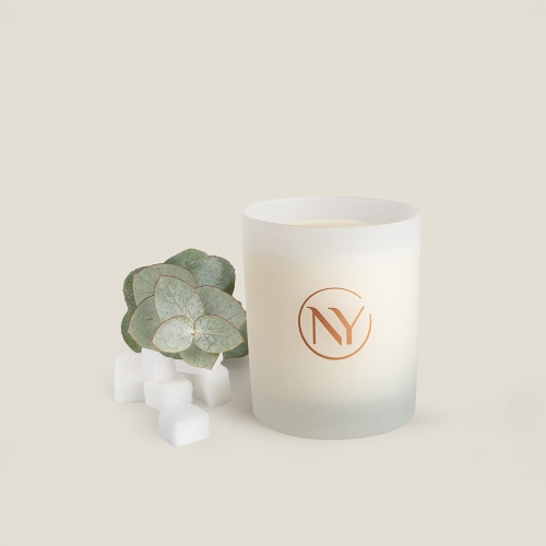 Mint-candyswieca.webp