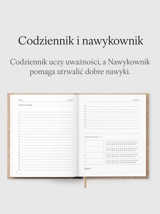 planer-rozkladowka-widok-codziennik-nawykownik.webp