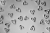 heart-3-1536x1024.jpg