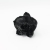 black_rose-3.jpg