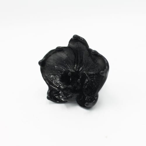black_rose-3.jpg