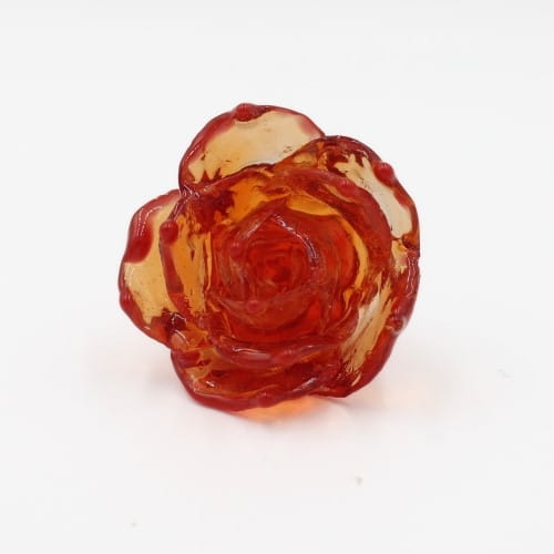 rose_xl.jpg
