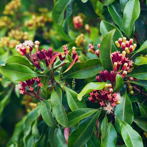 AdobeStock_102556564.jpeg