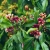 AdobeStock_102556564.jpeg