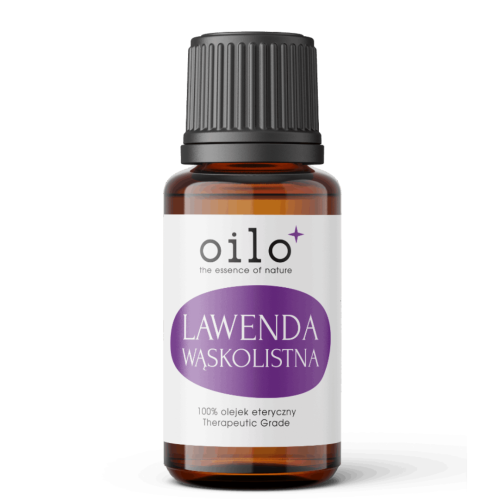 Projekt bez nazwy (56).png